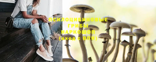 прущие грибы Верхнеуральск