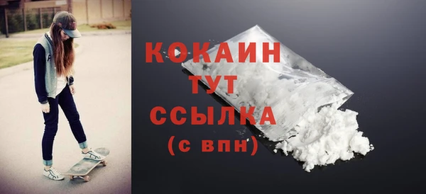 гидропоника Бородино