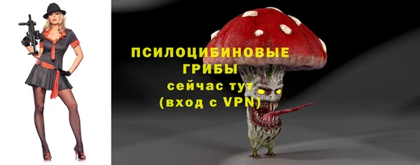 ПСИЛОЦИБИНОВЫЕ ГРИБЫ Верхний Тагил