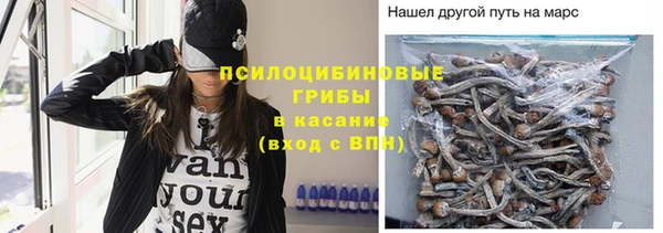 амф Бугульма