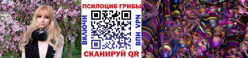 Псилоцибиновые грибы Psilocybe  Донецк 